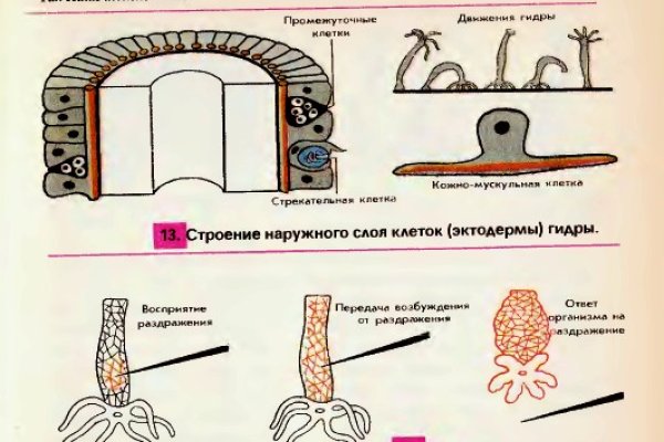 Mega ссылка m3gatoweb lol