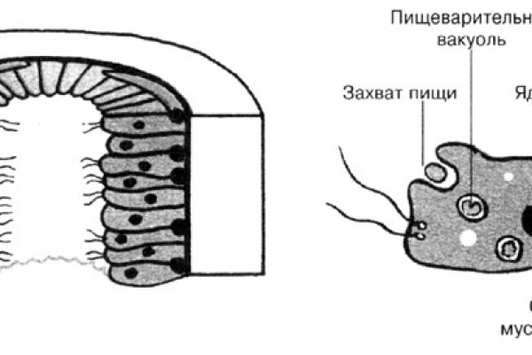 Как пополнить мега