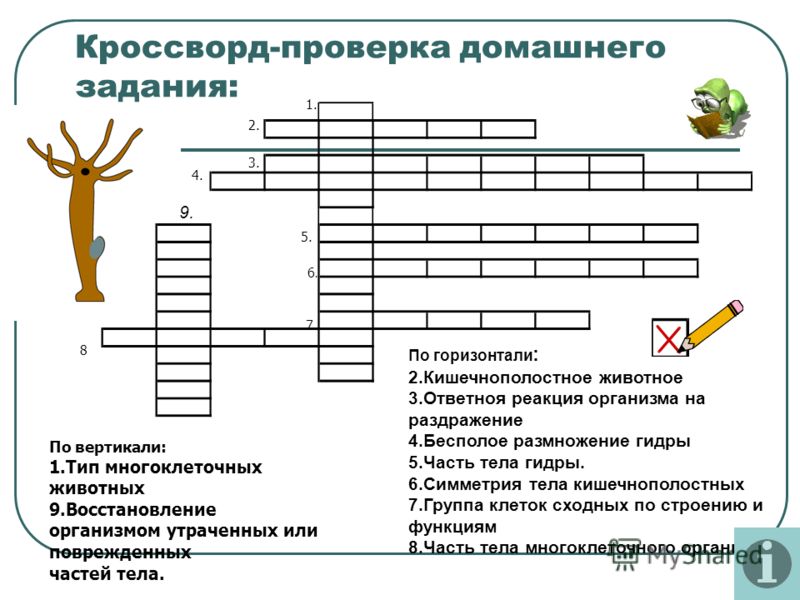 Настоящая ссылка мега